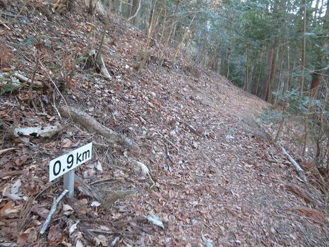 醍醐山 さあ山頂まであと900m.jpg