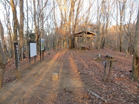 醍醐山 一旦山頂に戻り 下山.jpg