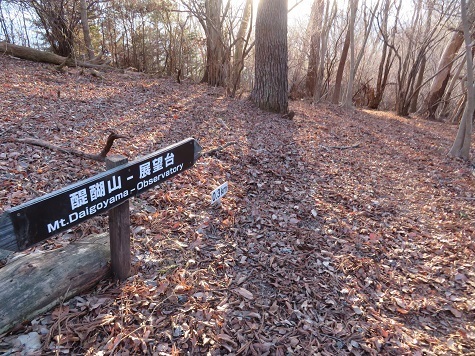 醍醐山 代わりに展望台へ.jpg