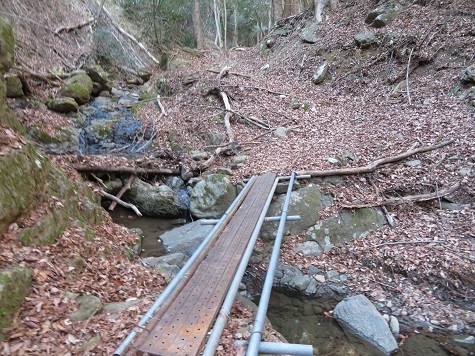 醍醐山 道は明瞭です.jpg