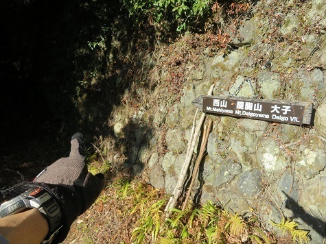 醍醐山 集落を抜けると登山口がある.jpg