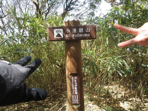 金冠達磨 小達磨山.jpg