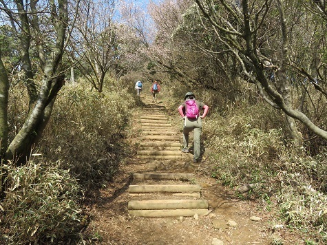 金冠達磨 山頂への登.jpg
