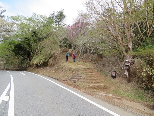 金冠達磨 登山口.jpg