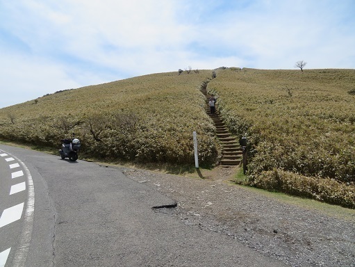 金冠達磨 車道から再入山.jpg
