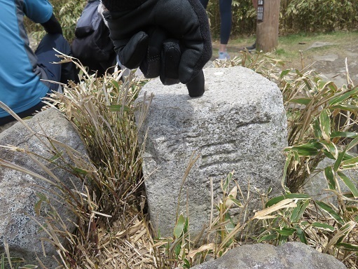 金冠達磨 達磨山 一等点.jpg