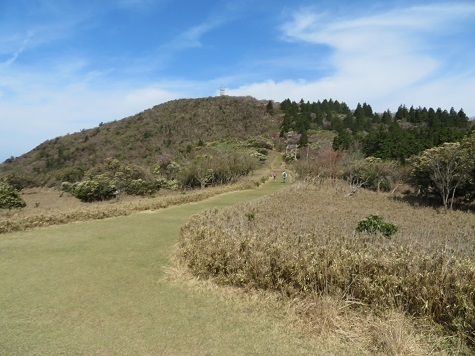 金冠達磨 金冠山を捕ら.jpg