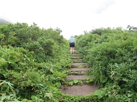 釜臥山 舗装階段のみ.jpg