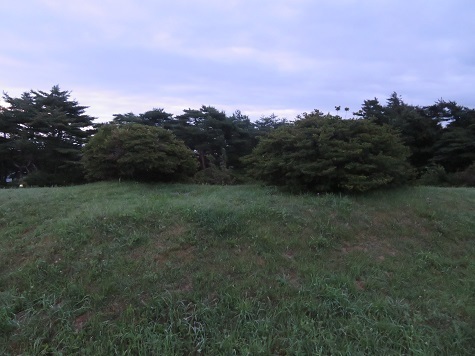 階上 三角点があるようだ.jpg