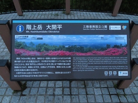 階上 大開平標識.jpg