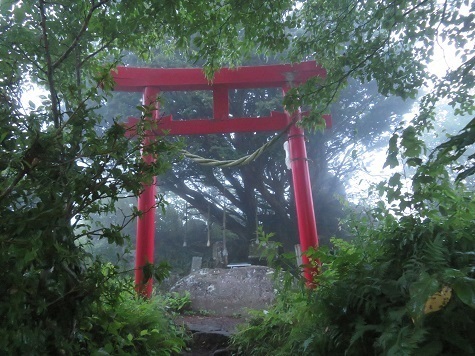 階上 鳥居を潜ると.jpg