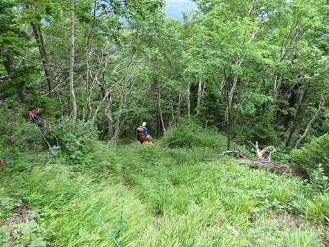 雄阿寒 ここで先行者が降って来た まだ山頂に人はいるよ~と教えてくれた.jpg