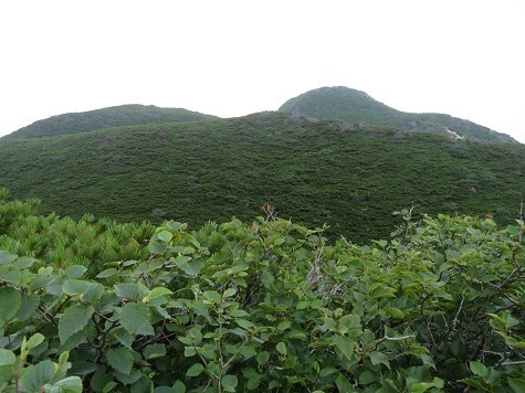 雄阿寒 ここで要約山頂が見えました.jpg