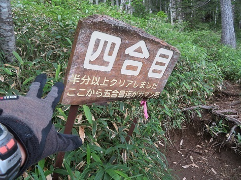 雄阿寒 四合目だけどもう半分クリアなんだ.jpg