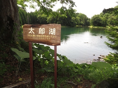 雄阿寒 太郎湖 阿寒湖から直接流れが来ている.jpg
