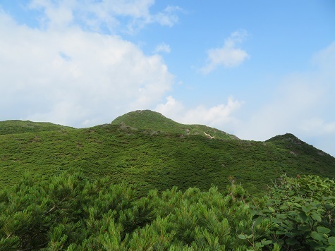 雄阿寒 曇ってましたがようやく青空も.jpg
