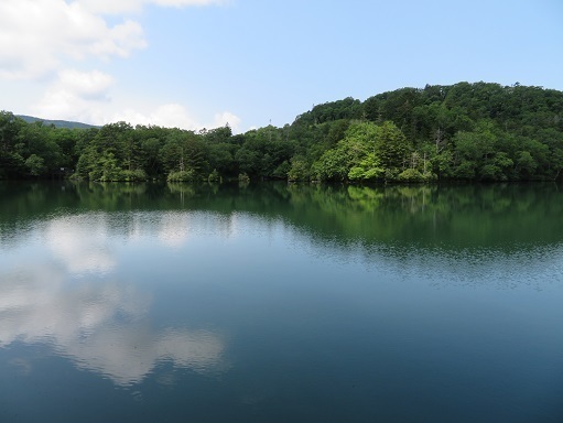 雄阿寒 歩いてる時は阿寒湖だと思わなかった.jpg