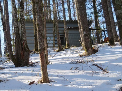 雨乞岳 ホクギリ平に建つサントリーの小屋.jpg