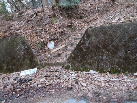 雨乞岳 帰りはスイスイと下山しました.jpg