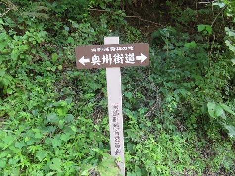 高山 この標識に沿って.jpg