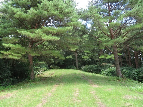 高山 では山頂三角点へ.jpg