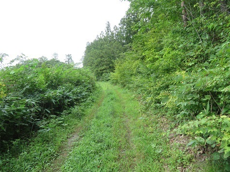 高山 なかなか着かない.jpg
