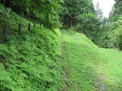 高山 急に柵が現われた.jpg