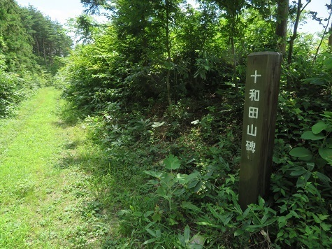 高山 気になったので奥に.jpg