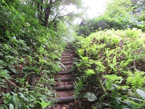 高山 階段を登ると.jpg