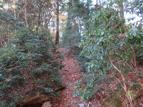 高根山住常光寺 さて最後のピークへ.jpg