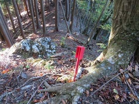 高根山住常光寺 どうやらコイツが誘ってくれそうだ.jpg