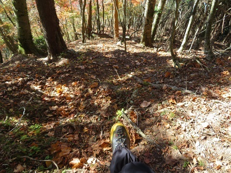 高根山住常光寺 まず一旦一気に降る.jpg