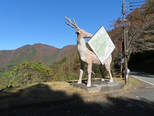 高根山住常光寺 山住峠着　後ろは常光寺山か.jpg
