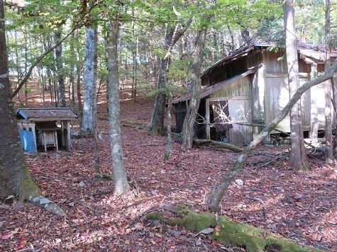 高根山住常光寺 常光神社奥宮.jpg