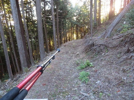 高根山住常光寺 林道に出た.jpg