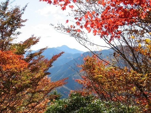 高根山住常光寺 紅葉が丁度見ごろ.jpg