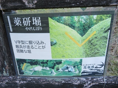 高根山住常光寺 高根城の仕掛けが目白押し.jpg