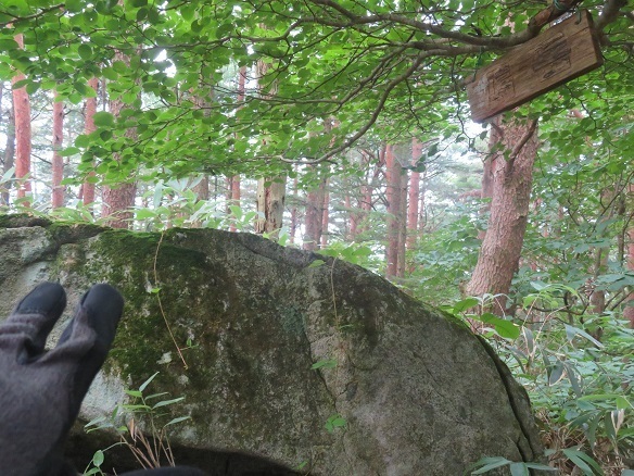 鳩 ネットで見た大石に鳩岳標識.jpg