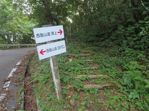 鳩岳 さっきの藪の先がここですね.jpg