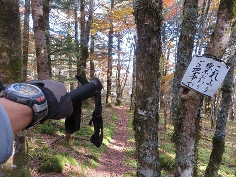 麻布山~バラ谷 これより先.jpg