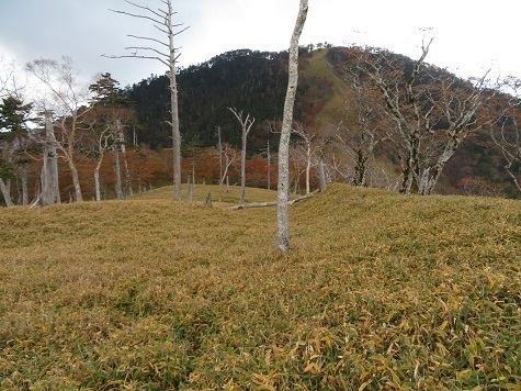 麻布山~バラ谷 さてバラ谷の頭へ戻ろう.jpg