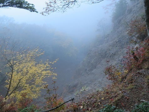 麻布山~バラ谷 まだ靄っている.jpg