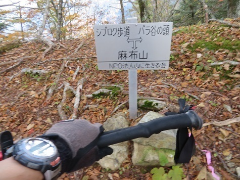 麻布山~バラ谷 シブロク歩道分岐.jpg