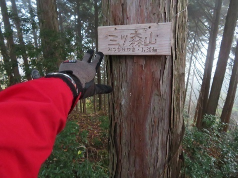 麻布山~バラ谷 三ツ森山.jpg