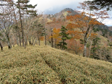 麻布山~バラ谷 休憩が済んだので上西平山へGO!.jpg