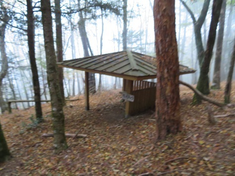 麻布山~バラ谷 休憩するにはまだ早い.jpg