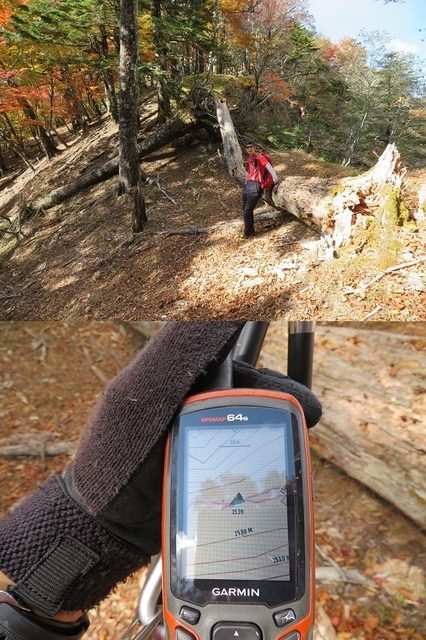 麻布山~バラ谷 多分この辺りが打越峠プロ.jpg