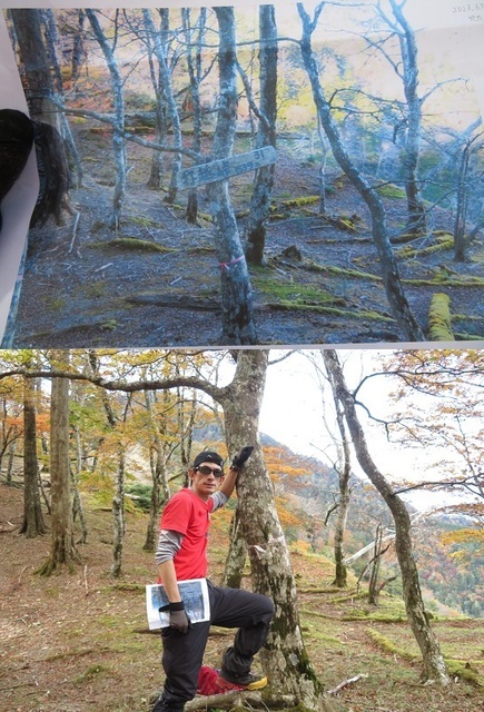 麻布山~バラ谷 帰りの途中 打越峠の場所を発見!プロ.jpg