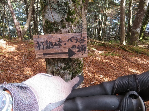 麻布山~バラ谷 新たに打越峠が出てきました.jpg