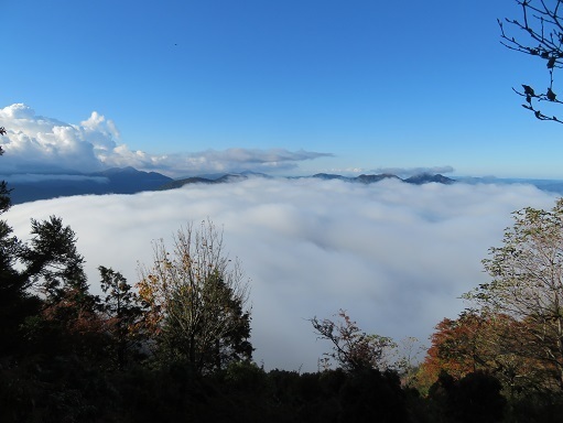 麻布山~バラ谷 眼下に雲海.jpg